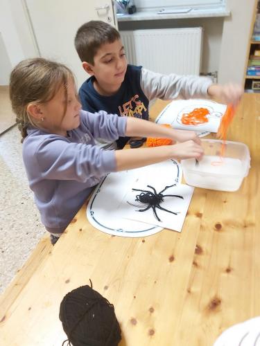 20241015 144842 (1) (1) (1)