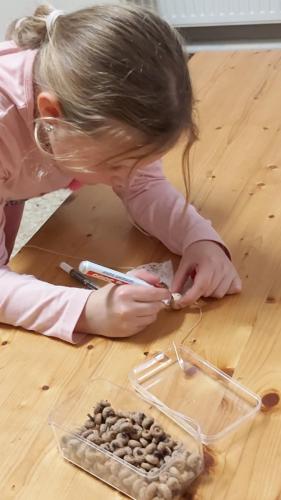 20241119 143524-Kopie