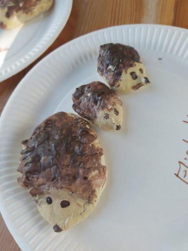 Igel-Titelbild-scaled